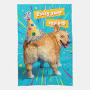 Recherche de corgi cuisine linges Chiot