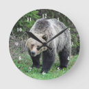Recherche de alaska horloges Faune