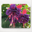 Recherche de beau pourpre photographie Floral