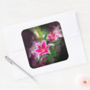 Recherche de stargazer lily autocollants Fleur