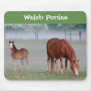 Recherche de gallois tapis souris Poney