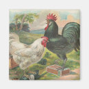 Recherche de coq vintage magnets Agriculture