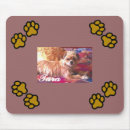 Recherche de shih tapis souris Mignon