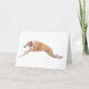 Recherche de running vœux cartes Dog