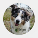Recherche de australian shepherd ornements Chien