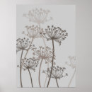 Recherche de persil posters Fleur