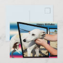 Recherche de whippet vœux cartes Blanc