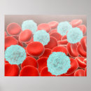 Recherche de cellules posters Santé