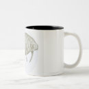 Recherche de espèce marine tasses Animaux
