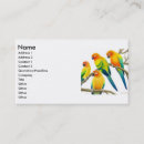 Recherche de cacatoès cartes visite Perroquet