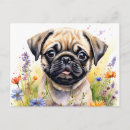 Recherche de chiots de carlin cartes postales Portrait