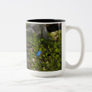 Recherche de pixies tasses Conte de fées