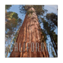 Recherche de séquoia carreaux Californie