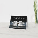 Recherche de cygne muet vœux cartes Animal
