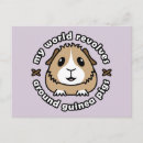 Recherche de caillou cartes postales Piges