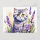 Recherche de écossais cartes postales Aquarelle