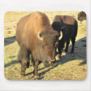Recherche de bison tapis souris Nature