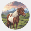Recherche de chevaux islandais autocollants Poney
