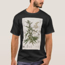Recherche de cannabis tshirts Sativa