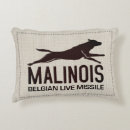 Recherche de malinois belges coussins Berger belge