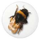Recherche de petit garçon boutons et poignées de porte Abeille