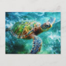 Recherche de sea life cartes postales Tortue de mer