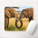 Recherche de la savane tapis souris Toute personne
