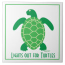 Recherche de tortue carreaux Vert