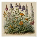Recherche de vintages de fleur posters Illustration vintage