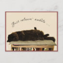 Recherche de le chat noir cartes postales Chatte