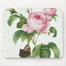 Recherche de rosa tapis souris Botanique