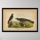 Recherche de pérégrination posters Aviaire