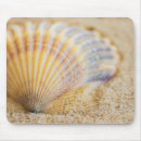 Recherche de coquillage tapis souris Sable