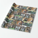 Recherche de emballage de beagle papier cadeau Chien de chasse