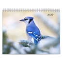 Recherche de chanson bureau fournitures Oiseaux