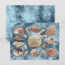 Recherche de mer de corail cartes postales Bleu