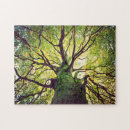 Recherche de racines puzzles Forêt