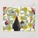 Recherche de coqs cartes postales Fleurs