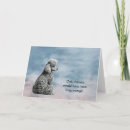 Recherche de caniche miniature animaux articles Dog