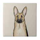 Recherche de berger allemand carreaux Animal