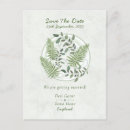 Recherche de feuille de fougère cartes postales Vert