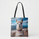 Recherche de pérou accessoires Llama