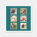 Recherche de du chien serviettes Drôle