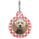 Recherche de cadre animaux articles Dog