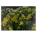 Recherche de jonquille planches à découper Nature