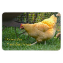 Recherche de poules magnets Ferme