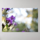 Recherche de beaux photographie art Fleurs