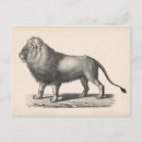 Recherche de croquis de lion posters Antique