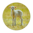 Recherche de moutons planches à découper Agneau