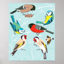 Recherche de colorful bird posters Drawing